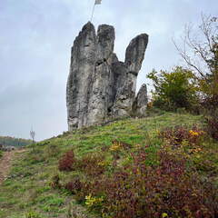 IMG-20221013-WA0004